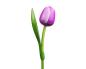 Preview: Wooden tulip in a wooden base, to stand, 34cm high, made in Holland, color: violet/white